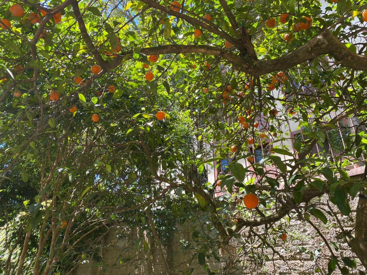 הוילה Casa Da Vo Diva No Centro De גראמדו מראה חיצוני תמונה